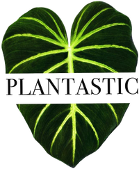 Coming Soon Plantastic